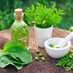 Herbs That Help Sleep Naturally