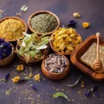 Healing Power of Native Plants