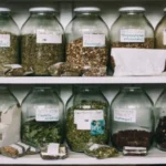 How to Identify Safe Medicinal Plants
