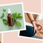 Quick Herbal Fixes for Everyday Ailments